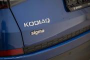 Skoda Kodiaq I Ростов-на-Дону  - изображение 32