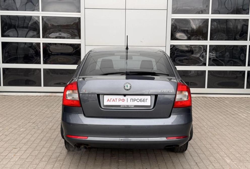 Skoda Octavia II (A5) Рестайлинг Владимир  - изображение 6