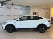 Renault Arkana I Москва  - изображение 25
