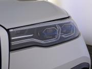 BMW X7 I (G07) Москва  - изображение 47