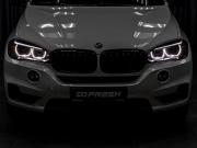 BMW X5 III (F15) Тюмень  - изображение 32