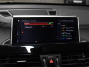 BMW X1 II (F48) Рестайлинг Москва  - изображение 45