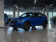 Skoda Kodiaq GT Москва  - изображение 29
