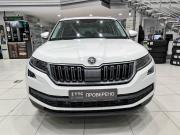 Skoda Kodiaq I Казань  - изображение 24