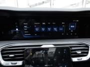 Hongqi E-HS9 Ставрополь  - изображение 48