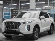 Hyundai Palisade I Москва  - изображение 19