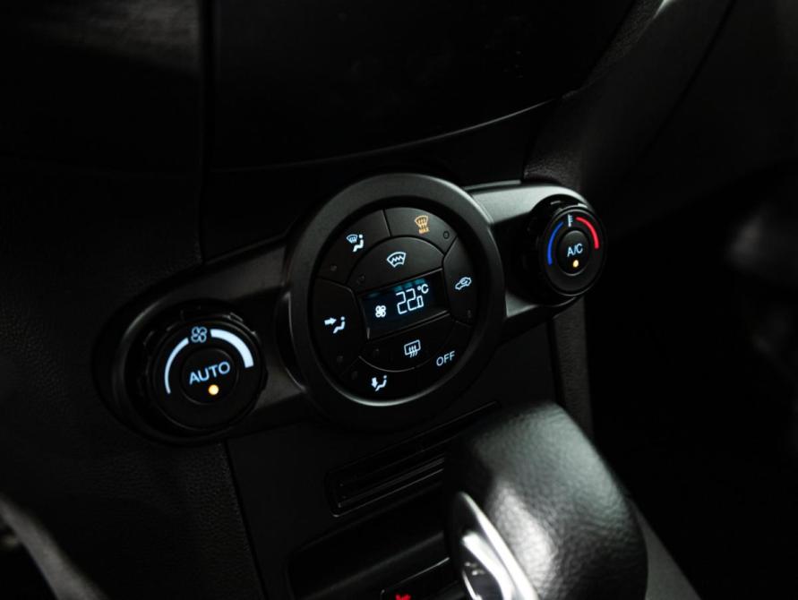 Ford Fiesta Mk6 Рестайлинг Санкт-Петербург  - изображение 16