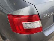 Skoda Octavia III (A7) Тверь  - изображение 23