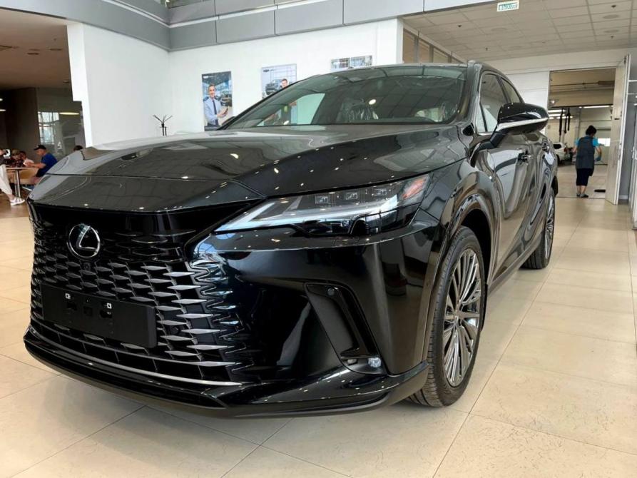 Lexus RX V Челябинск  - изображение 1