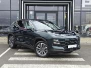 JETOUR DASHING I Воронеж  - изображение 20