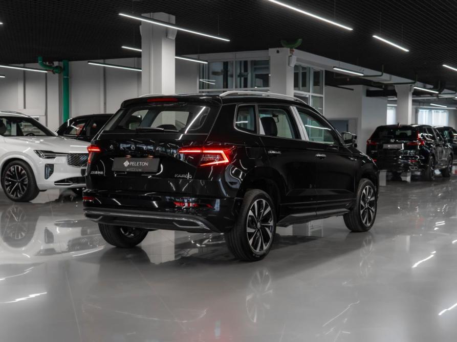 Skoda Karoq I Москва  - изображение 5