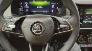 Skoda Kodiaq I Рестайлинг Казань  - изображение 59