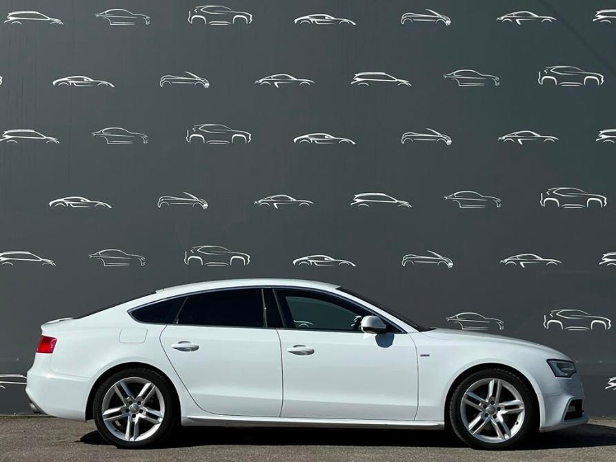Audi A5 I (8T) Рестайлинг Санкт-Петербург  - изображение 13