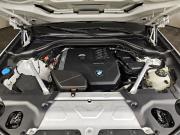 BMW X4 II (G02) Москва  - изображение 30