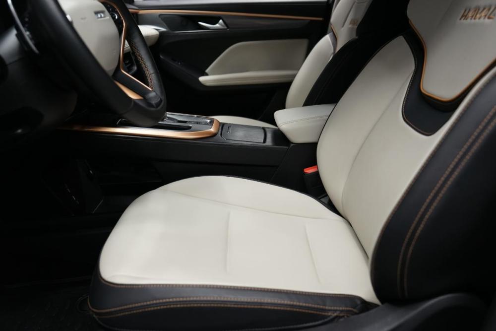 Haval Jolion I Крым  - изображение 10