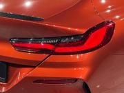 BMW 8 серии II (G14/G15/G16) Иркутск  - изображение 50