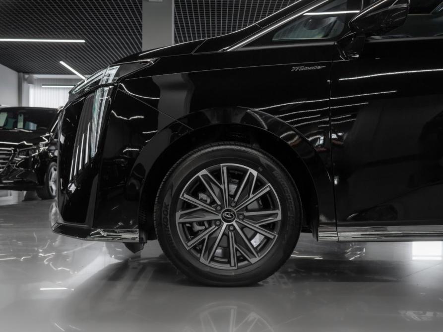 GAC M8 Москва  - изображение 31