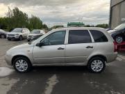 Lada (ВАЗ) Kalina I Альметьевск  - изображение 25