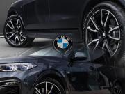 BMW X7 I (G07) Москва  - изображение 47