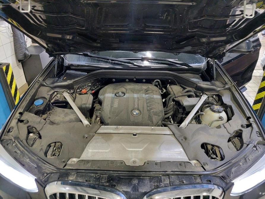 BMW X3 III (G01) Москва  - изображение 19