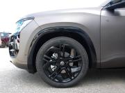 Volkswagen Teramont II (China Market) Владимир  - изображение 63