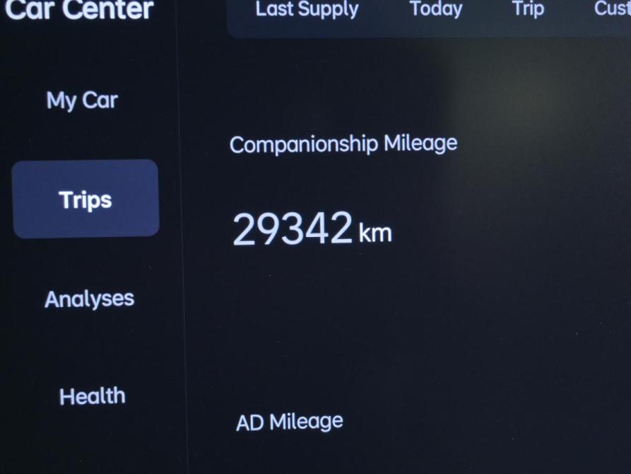 Li Auto (Lixiang) L6 Москва  - изображение 12