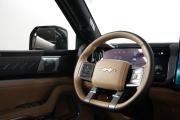 BYD FangChengBao Leopard 8 Москва  - изображение 40