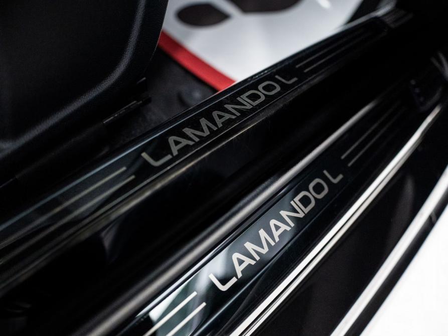 Volkswagen Lamando I Рестайлинг Иркутск  - изображение 21