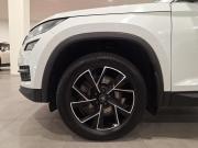 Skoda Kodiaq I Люберцы  - изображение 33