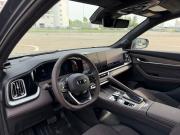 Geely Monjaro I Рестайлинг 2 (China Market) Казань  - изображение 61