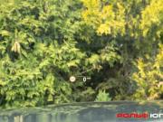 BMW 4 серии G22 G23 G26 Москва  - изображение 39