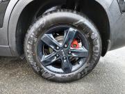 Kia Seltos I Санкт-Петербург  - изображение 19