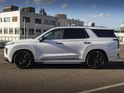 Hyundai Palisade I Москва  - изображение 36