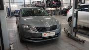 Skoda Octavia III (A7) Рестайлинг Санкт-Петербург  - изображение 7