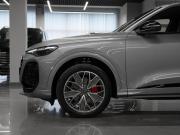 Audi Q5 III Москва  - изображение 48