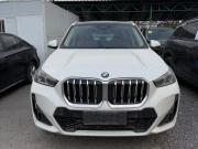 BMW X1 III (U11/U12) Самара  - изображение 29