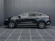 Renault Arkana I Пермь  - изображение 72