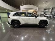 Toyota RAV4 VI (XA60) Казань  - изображение 27