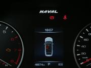 Haval Jolion I Иваново  - изображение 38