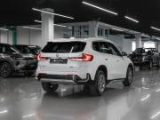 BMW X1 III (U11/U12) Москва  - изображение 34