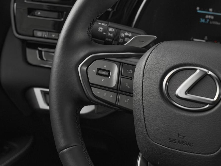 Lexus RX V Москва  - изображение 12