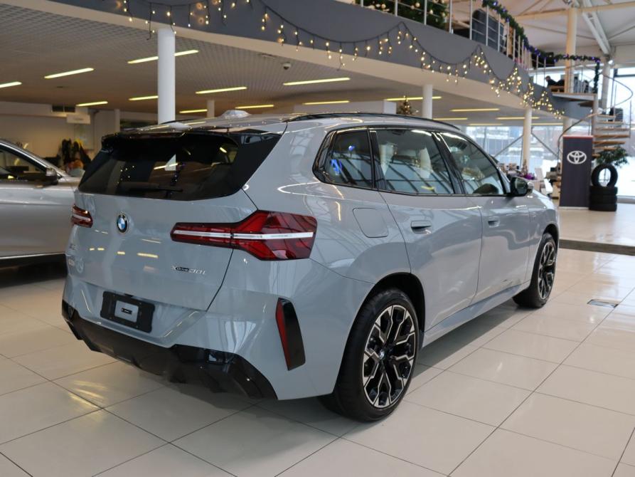 BMW X3 IV (G45/G48) Брянск  - изображение 4