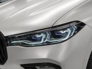 BMW X7 I (G07) Москва  - изображение 59