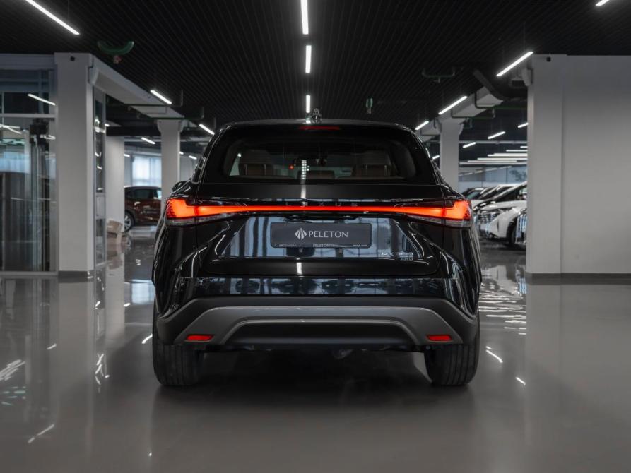 Lexus RX V Москва  - изображение 6