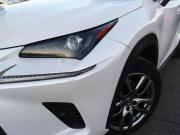 Lexus NX I Владимир  - изображение 50