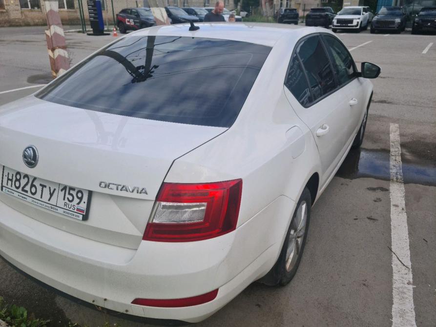 Skoda Octavia III (A7) Пермь  - изображение 4
