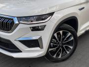 Skoda Kodiaq I Рестайлинг Москва  - изображение 34