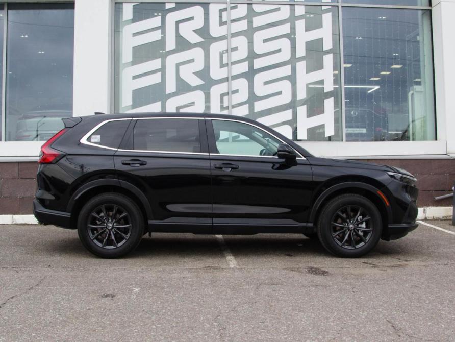 Honda CR-V VI Владимир  - изображение 5