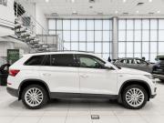Skoda Kodiaq I Казань  - изображение 27