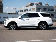 Hyundai Palisade I Рестайлинг Москва  - изображение 34